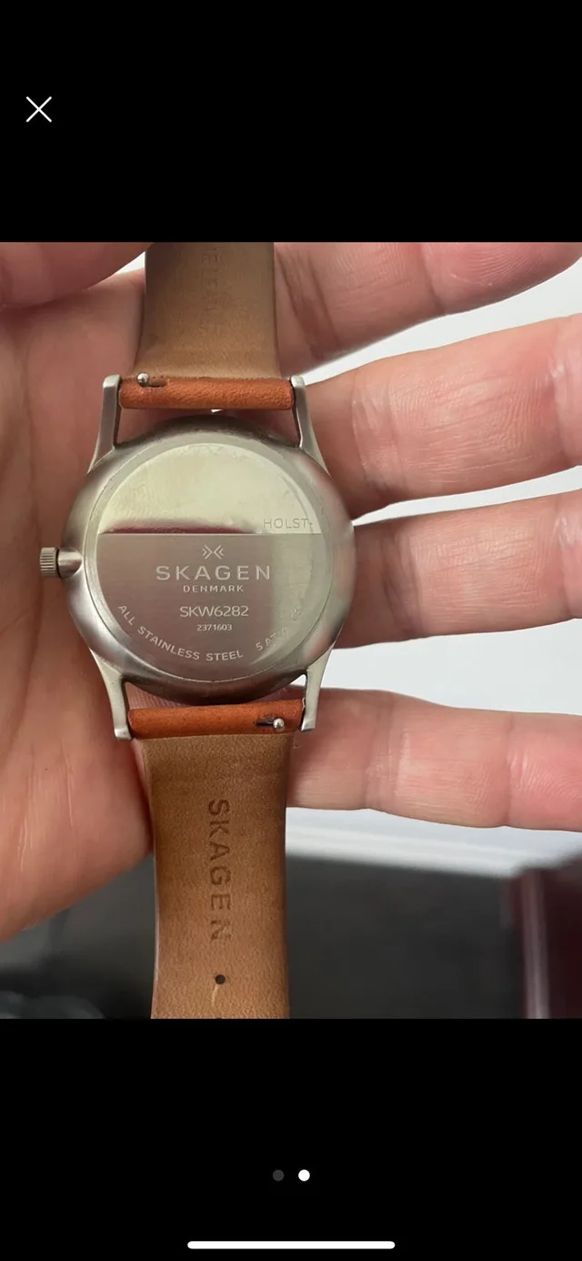 Skagen watch image indicator(2)