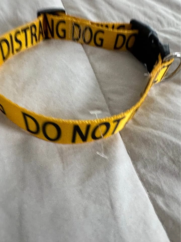 Brand New “Do Not Distract Working” Dog Collar - photo 2