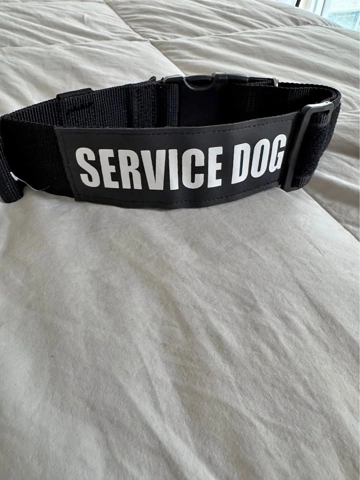 Brand New “ Service Dog” Large Dog Collar adjustable