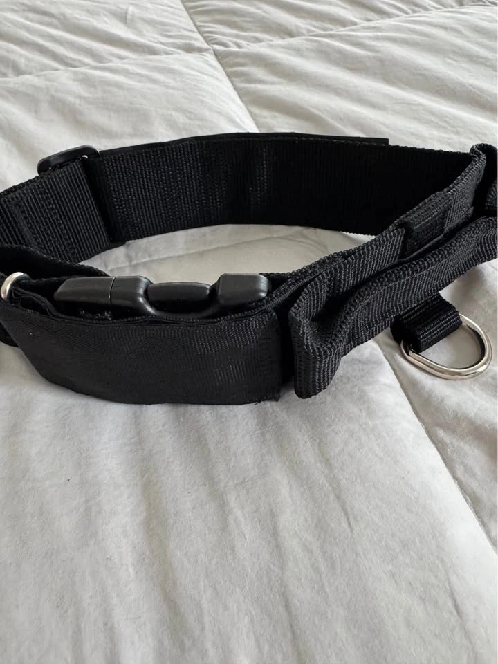 Brand New “ Service Dog” Large Dog Collar adjustable - photo 4