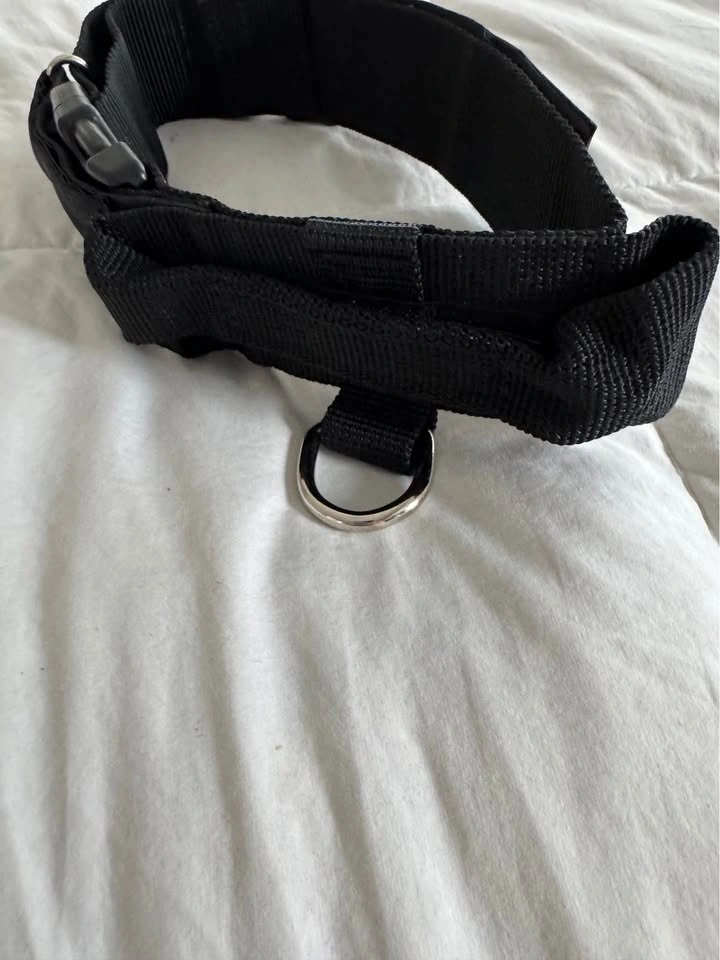 Brand New “ Service Dog” Large Dog Collar adjustable - photo 5