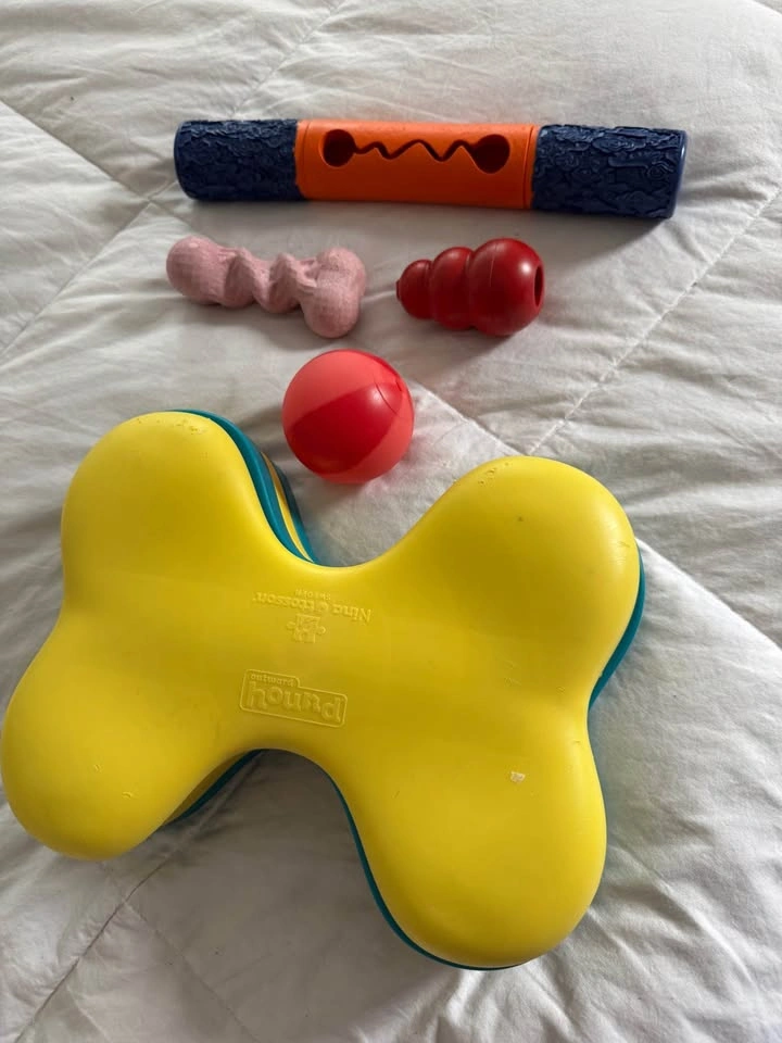 Dog Toys / Dog puzzle lot, most items brand new $20 for all - photo 5