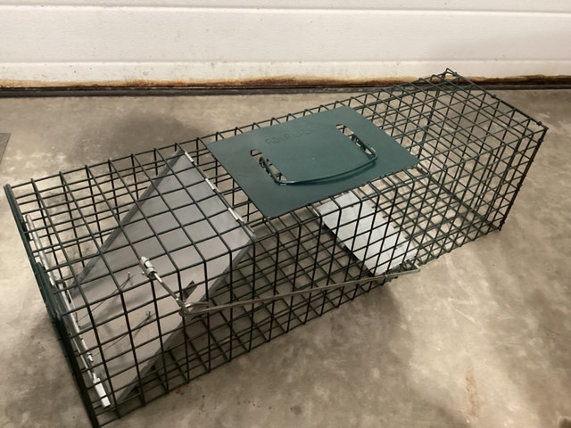 Small Animal Trap