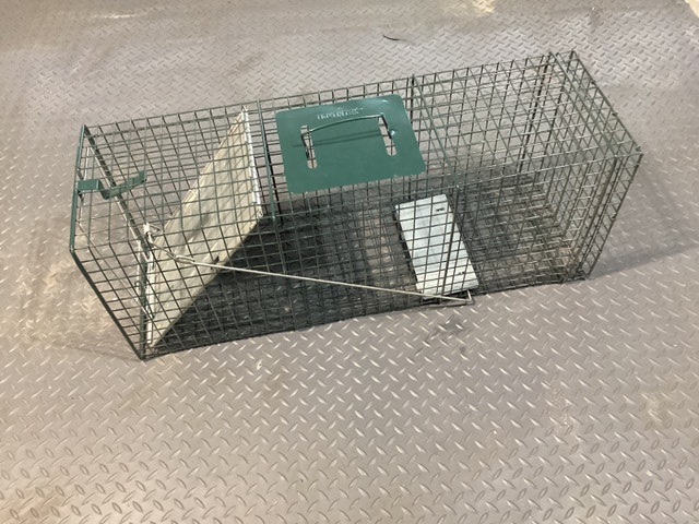 Large Animal Trap