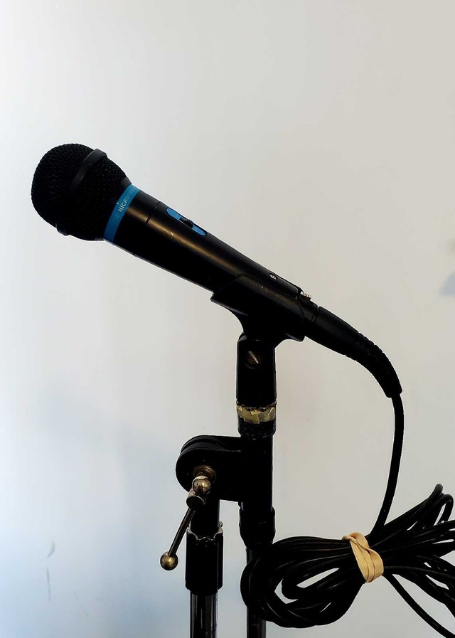 Apex Dynamic Microphone - photo 2