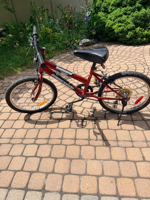 20 inch bike - photo 3