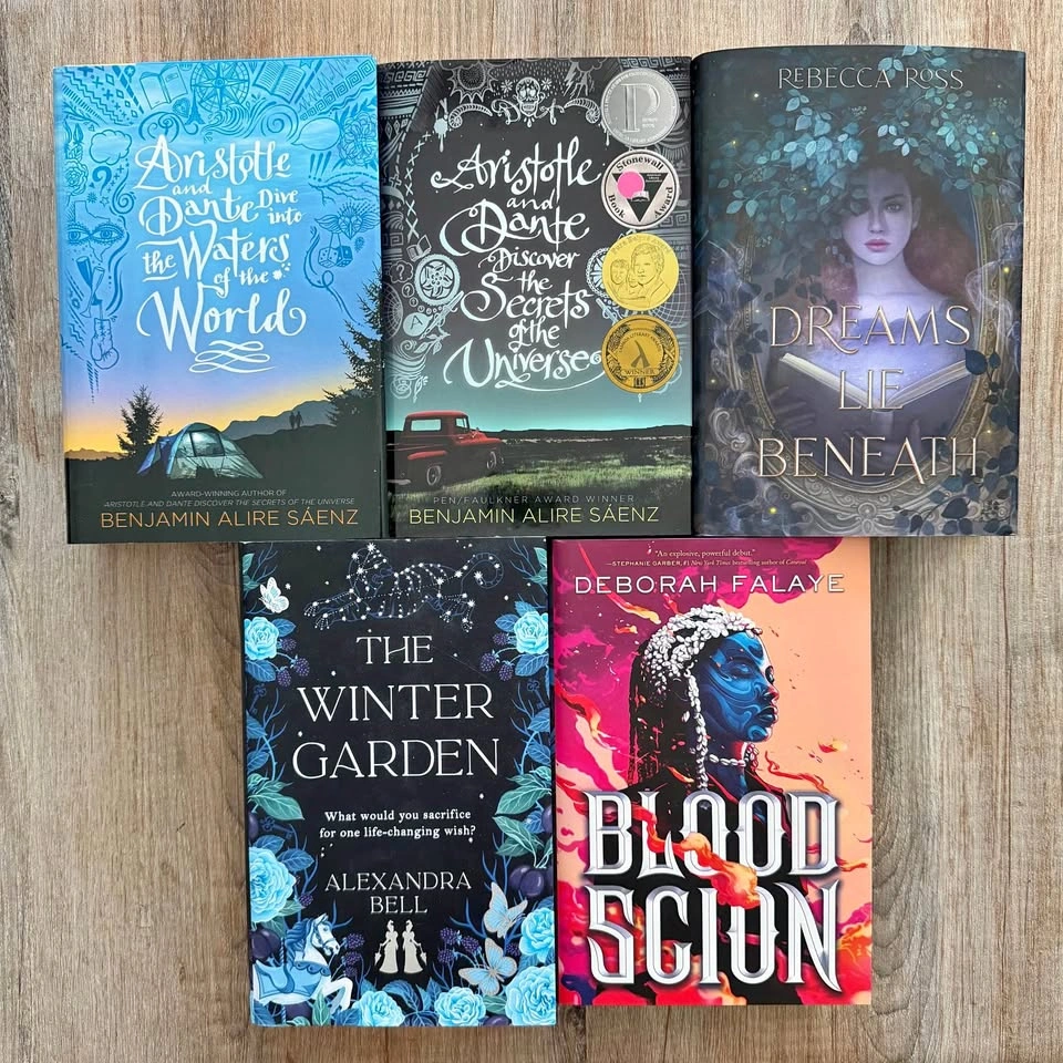 Aristotle and Dante, Dreams Lie Beneath, & More Book Bundle