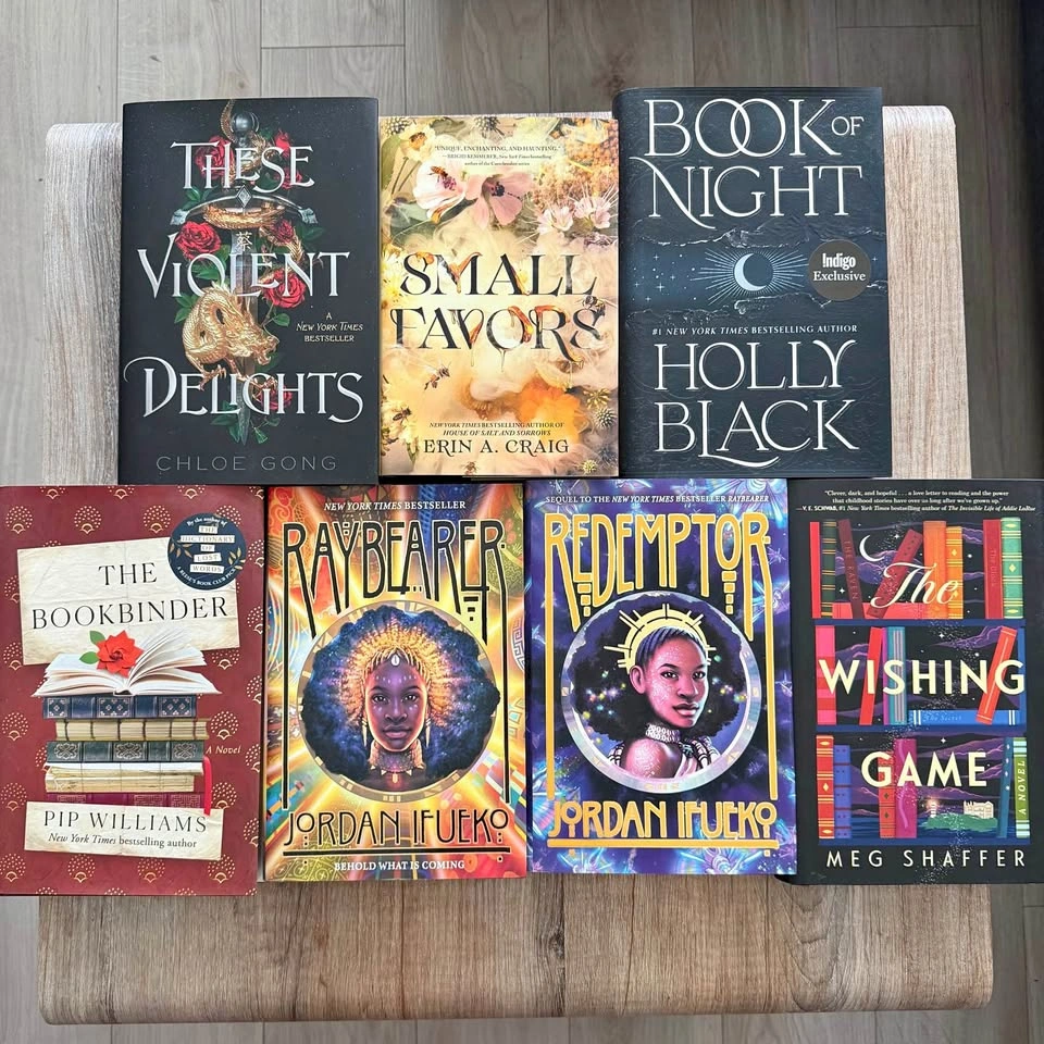 Young Adult and Fantasy Book Bundle - Moving Sale