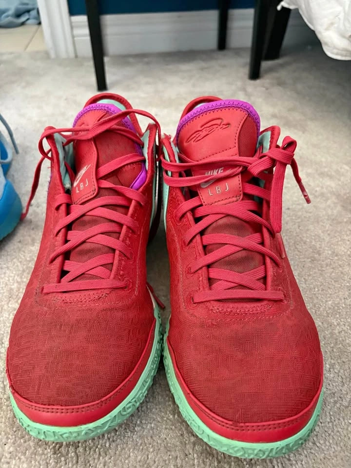 Nike Zoom Lebron NXXT (Comes with box)