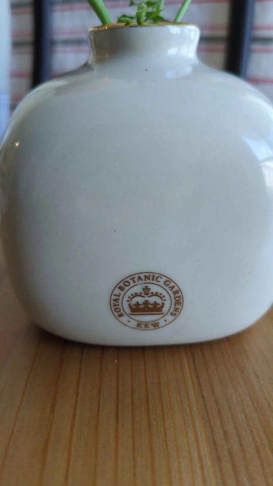 Kew Botanical Gardens Ceramic vase / pot - photo 2