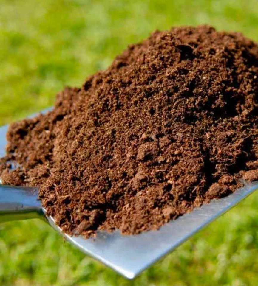 Free Topsoil - Pickup at Jane & Wilson
