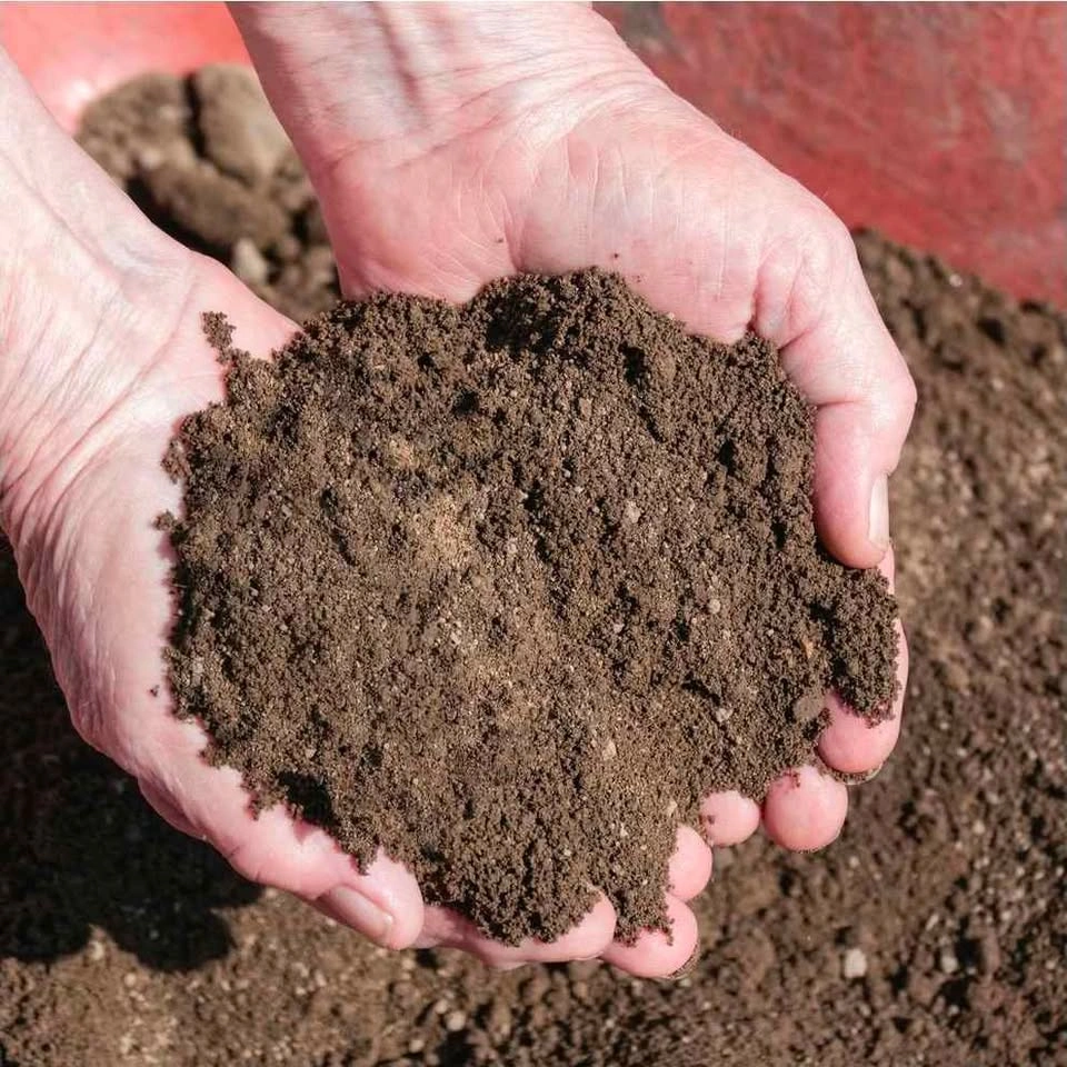 Free Topsoil - Pickup at Jane & Wilson - photo 2