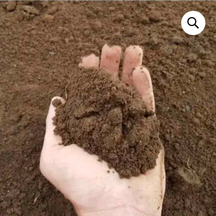 Free Topsoil - Pickup at Jane & Wilson - photo 3