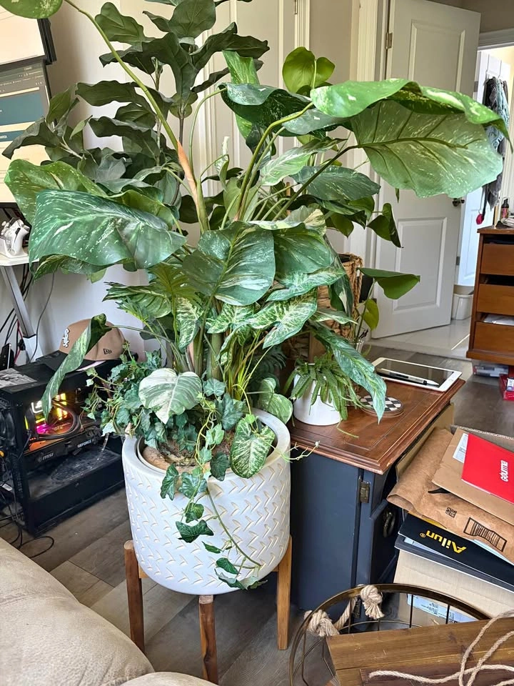 Faux plant for sale