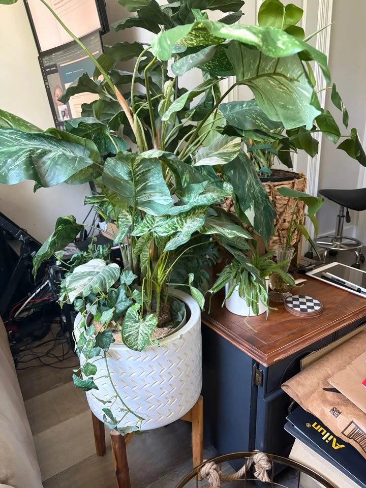Faux plant for sale - photo 2