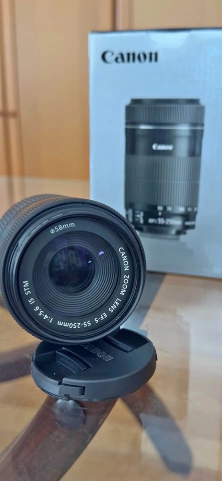 Canon EF-S 55-250mm f/4-5.6 IS STM Lens