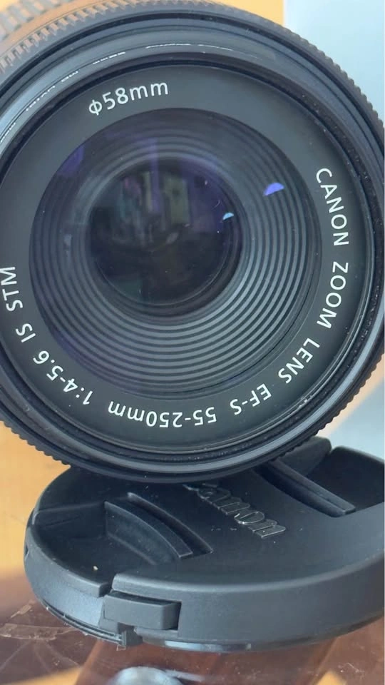 Canon EF-S 55-250mm f/4-5.6 IS STM Lens - photo 2