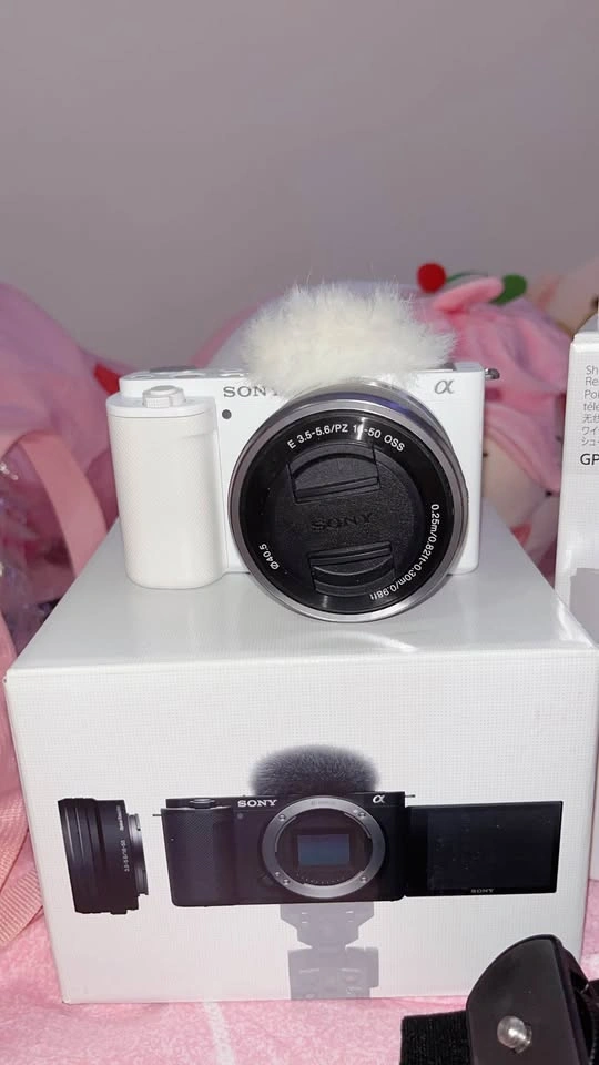 Sony ZV-E10 Mirrorless Camera with 16-50mm Lens and Grip - photo 4