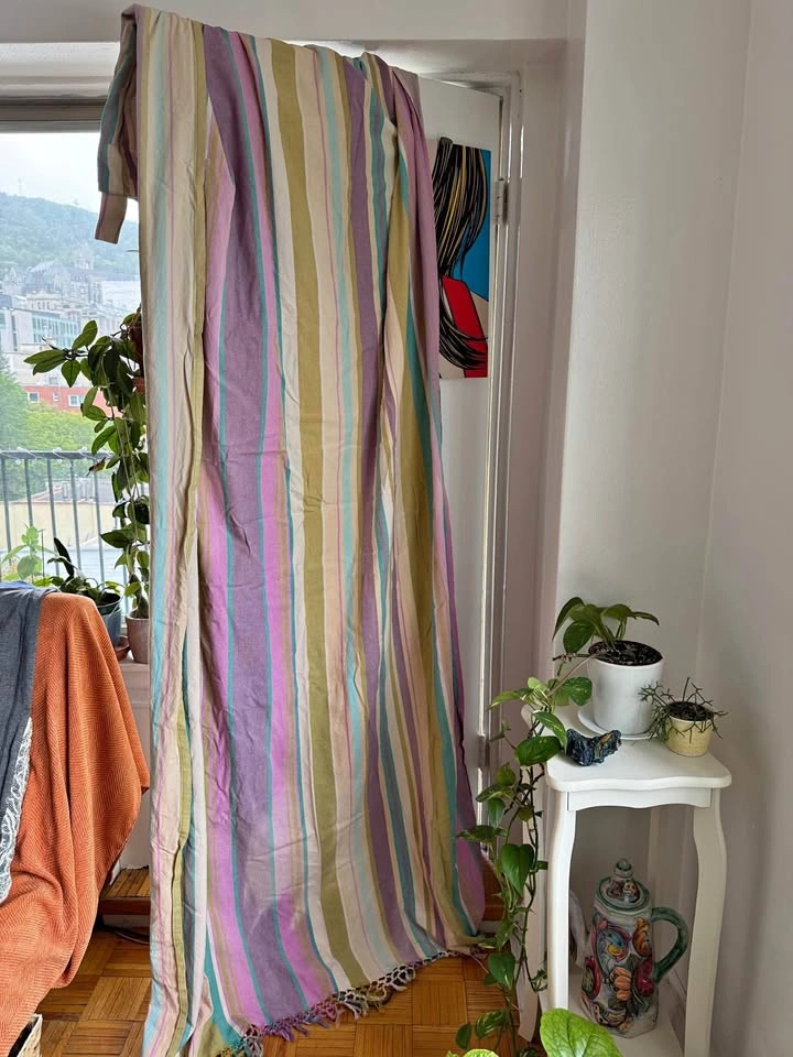 Colourful Zara Home curtain