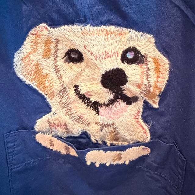 NWOT Maeve Blue Embroidered Cotton Shirt with Dog-Doodle?-Large - photo 3