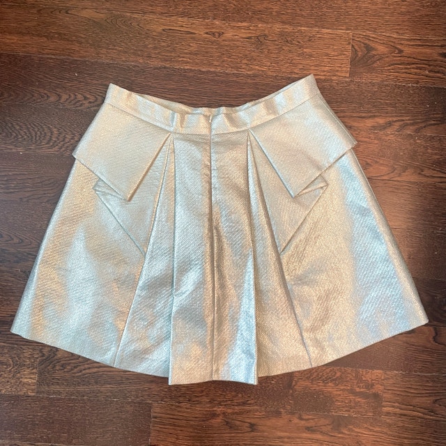 Robert Rodriquez Silver Pleated Miniskirt-Size 10 - photo 2