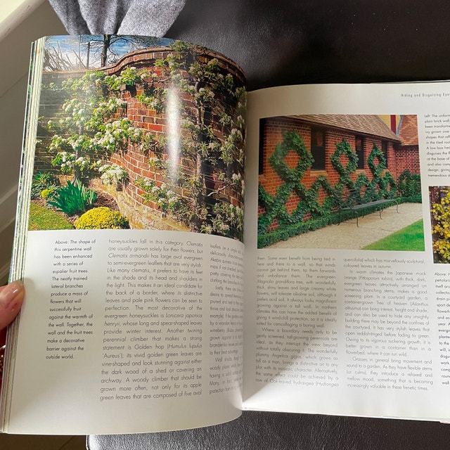 Book Designer Plants: Creative Ideas for yr Garden-Sunniva Harte - photo 2