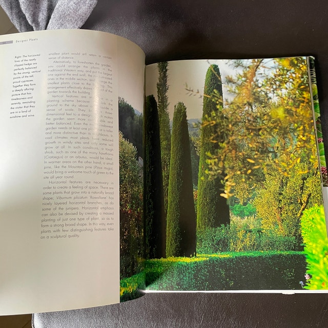 Book Designer Plants: Creative Ideas for yr Garden-Sunniva Harte - photo 3