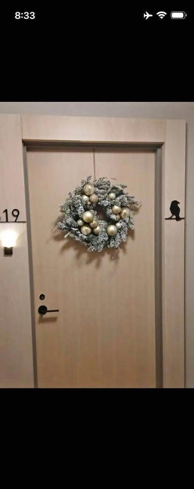 Christmas Door Wreath ⭐️