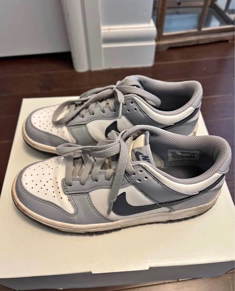 Nike kids dunk low sneakers