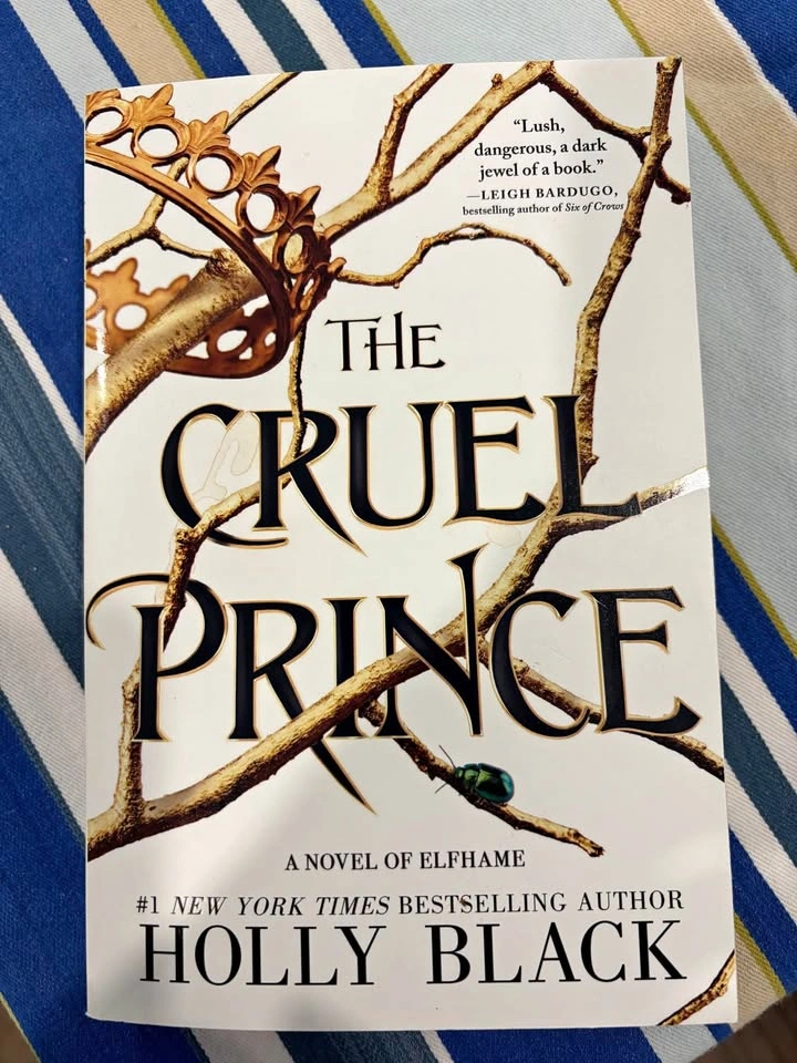 The Cruel Prince by Holly Black