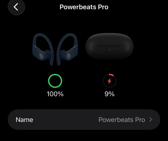 Beats Powerbeats Pro - photo 4
