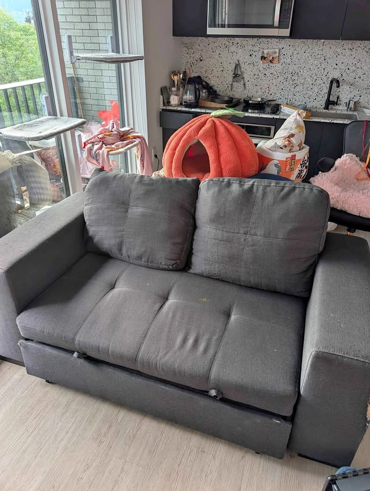 Old L couch and sofa bed (it's in two parts check last photo)