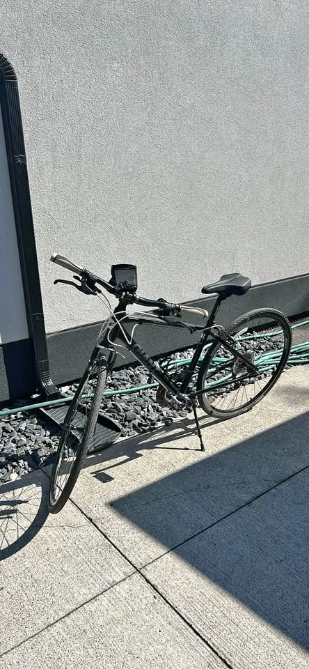 Giant Escape Hybrid Bike