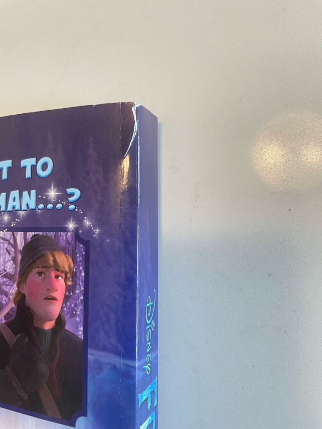 Disney Frozen The Cinestory - photo 3
