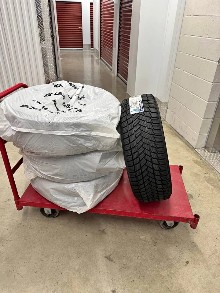 Set of 4 Michelin X-Ice Snow Tires 225/55 R19