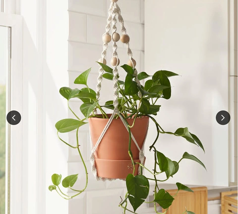 IKEA Plant Holder