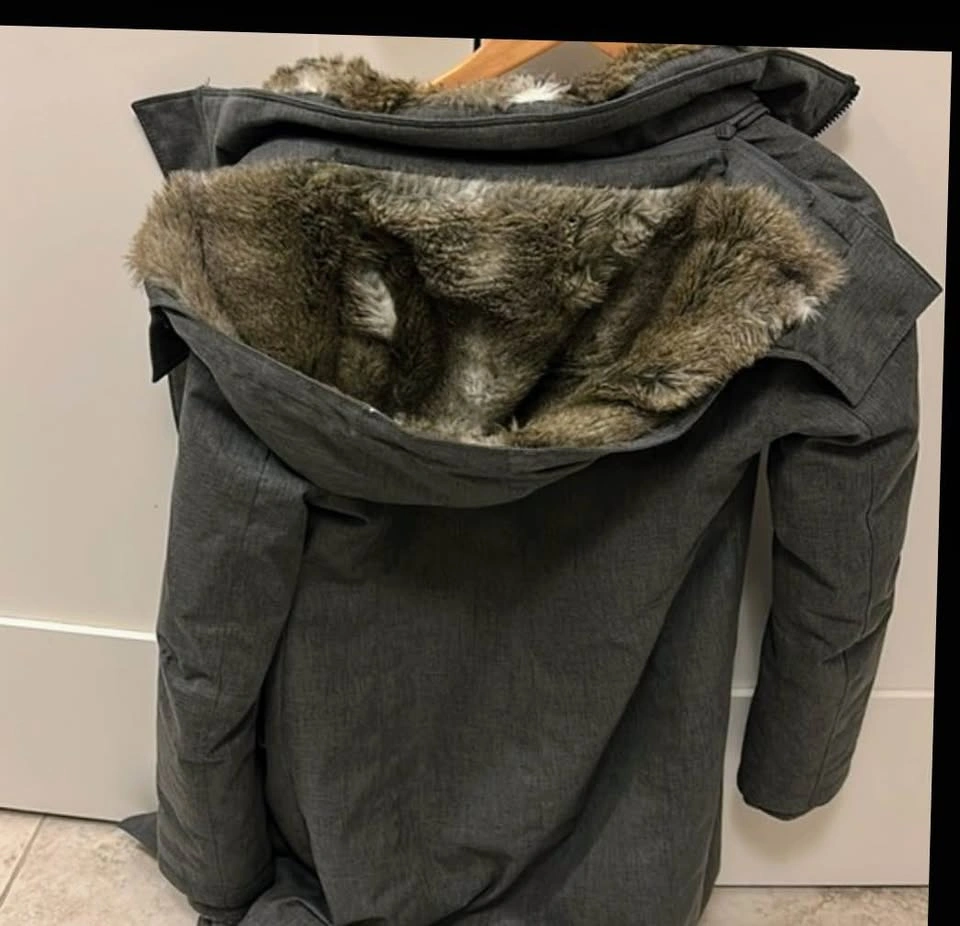 Woman’s Aritzia Babaton Oskar Parka Grey Coat - photo 3