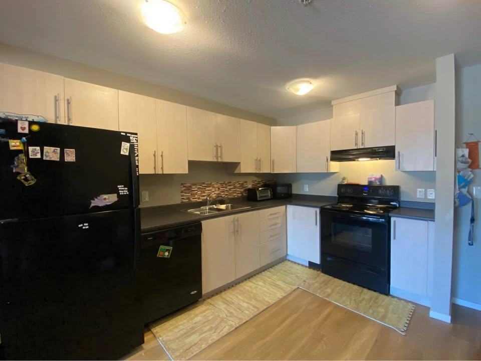 2 Beds 1 Bath - Apartment - photo 4