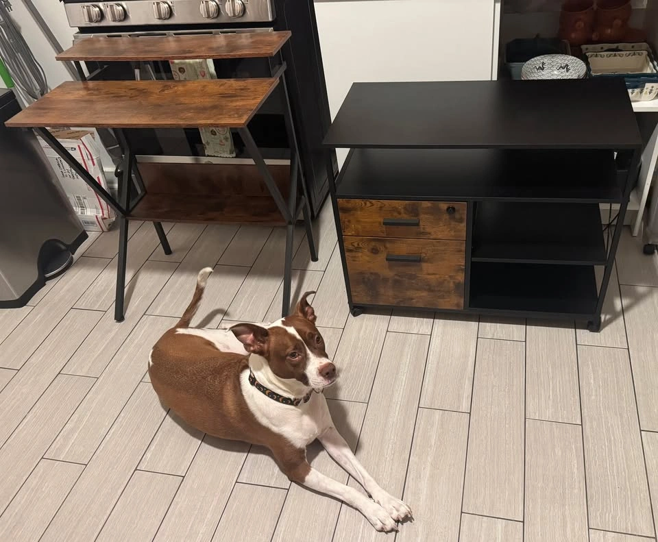 Desk with matching cabinet - photo 5