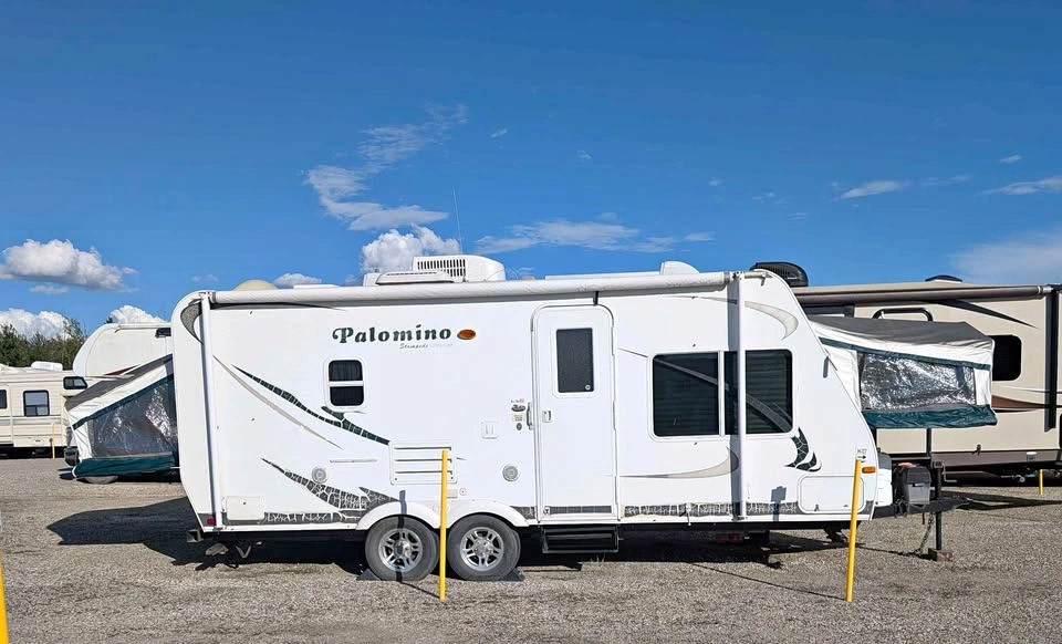 2011 Palomino Stampede