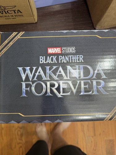 Funko Black Panther Wakanda Forever mystery box Collector Corps - photo 2