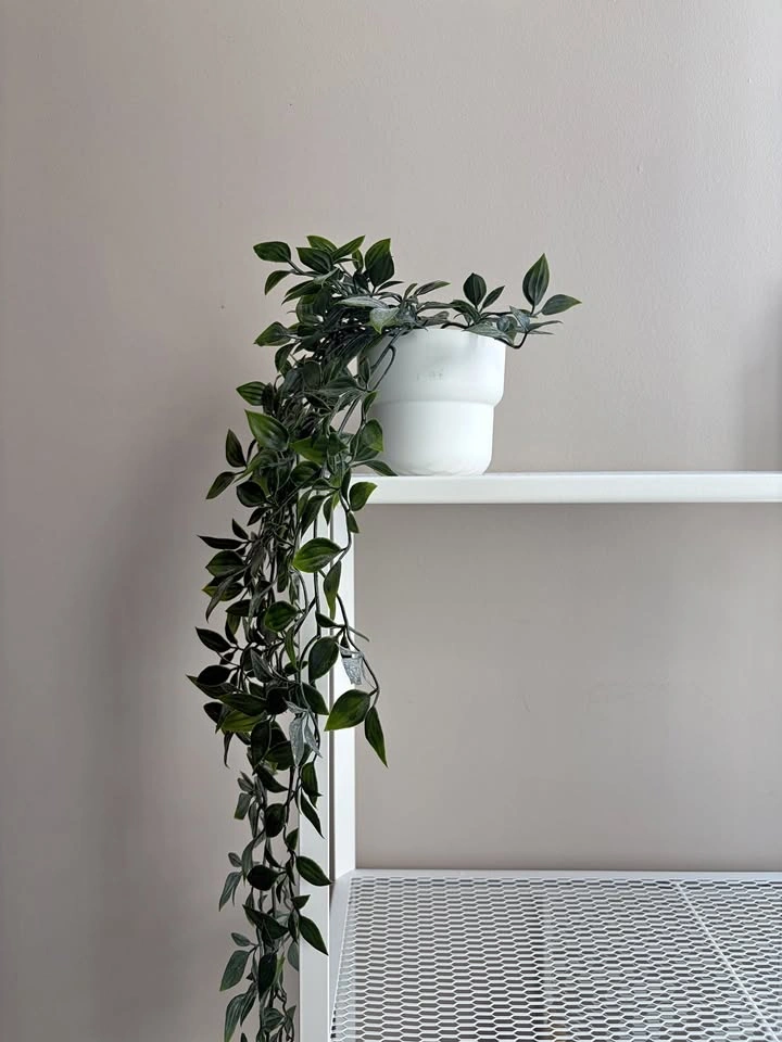 IKEA FEJKA artificial plant + FÖRENLIG Pot