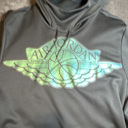 Jordan Air Iridescent Wings Chameleon Graphic Hoodie Black XXL