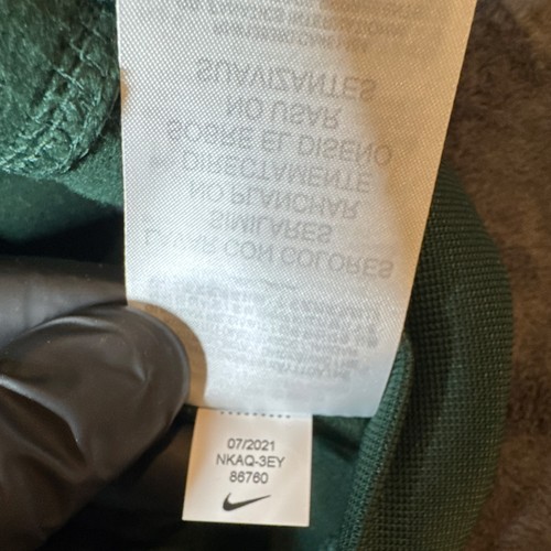 Nike Dri-FIT Logo Hooded Fleece Pullover Hoodie Green L - photo 4