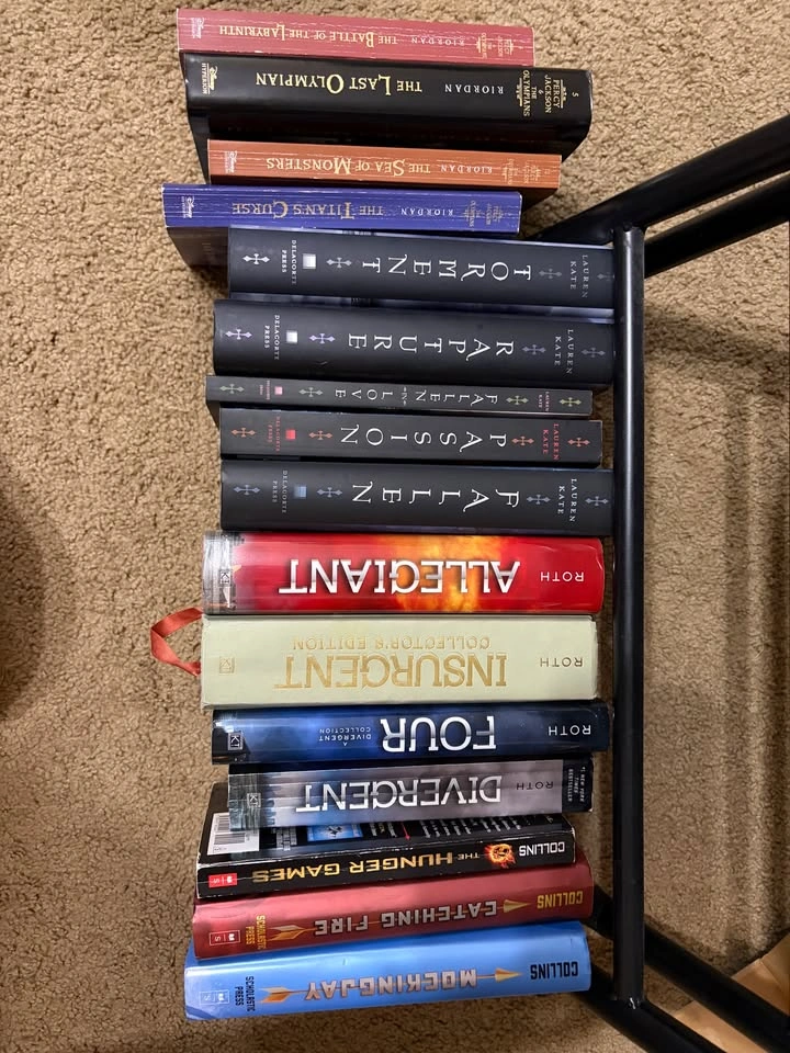 YA Books (4) - photo 2