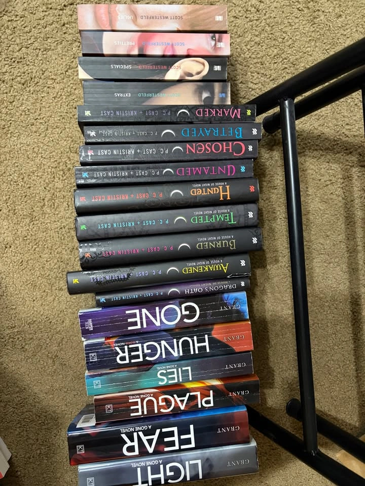 YA Books (3) - photo 2