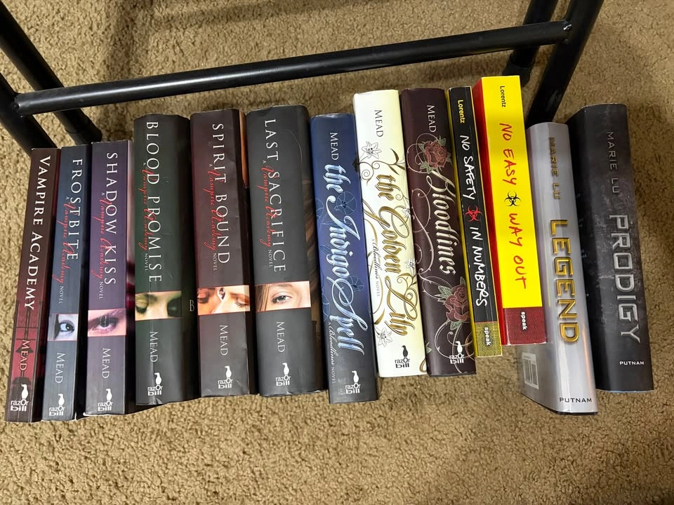 YA Books (3) - photo 3