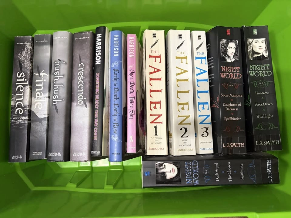 YA Books - photo 3