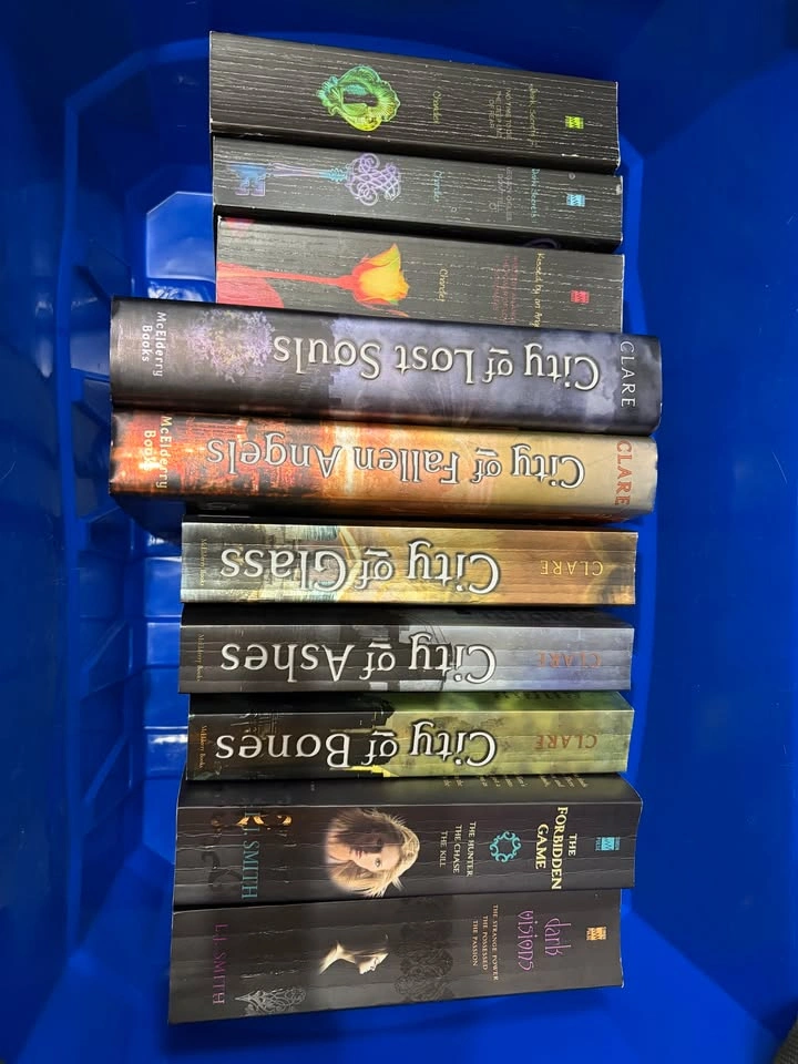 YA Books (2) - photo 2