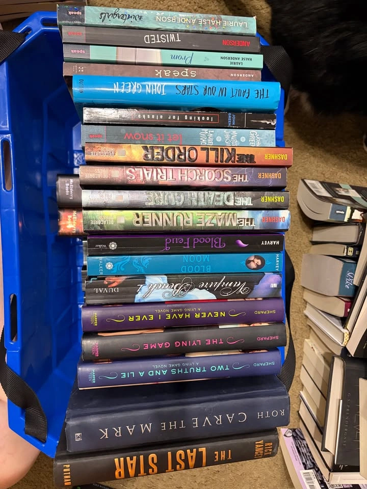 YA Books (2) - photo 3